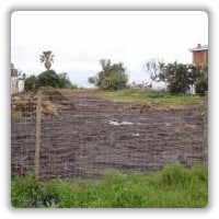 newsite